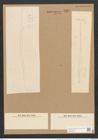 Nitzschia longissima var. sinensis (Breb.) Ralfs (de-Toni-Nr.: Genus 47, Species 2146) Zeichnungen Sammlung Grunow Nr. 4319 (NHMW-BOT-W0372348)